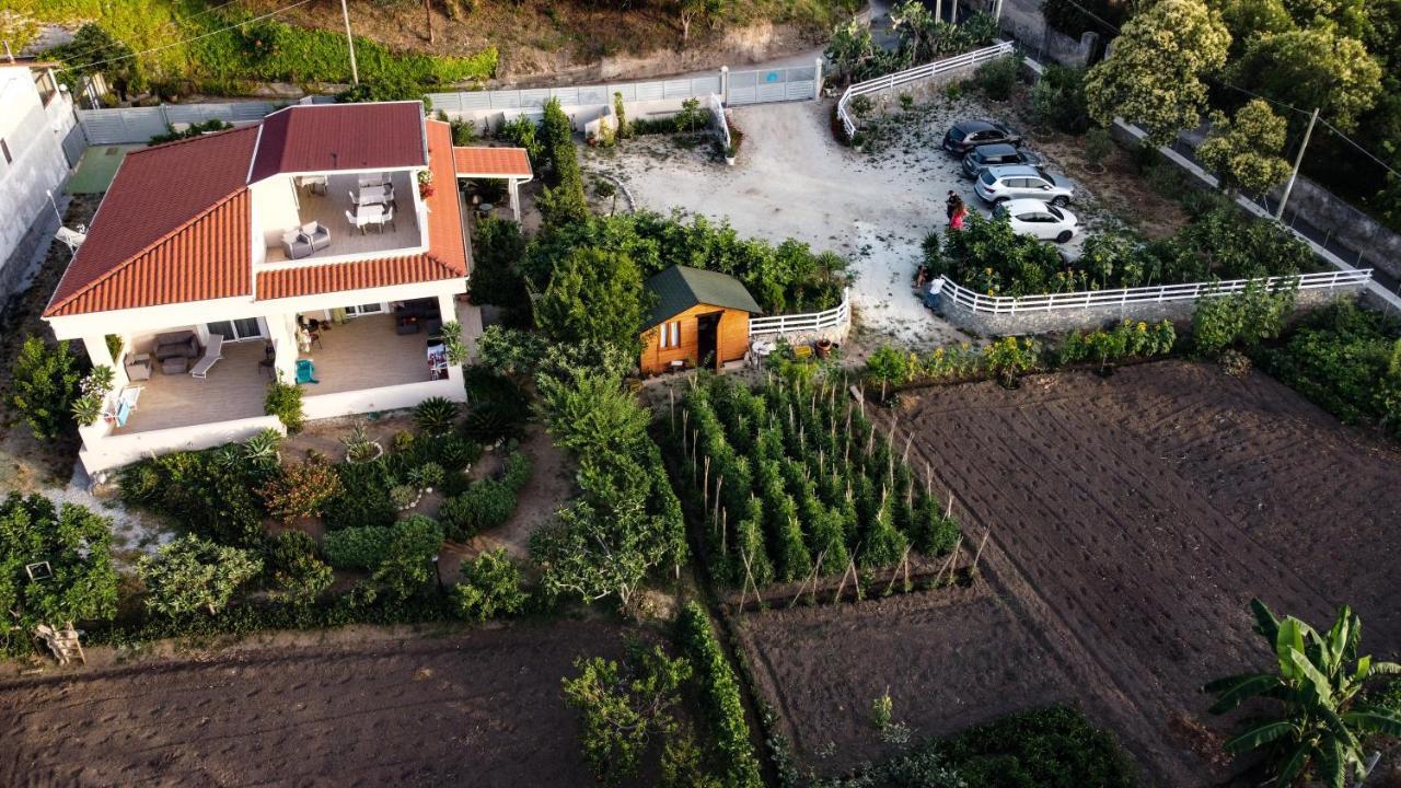 Michelino House Bed & Breakfast Parghelia Dış mekan fotoğraf